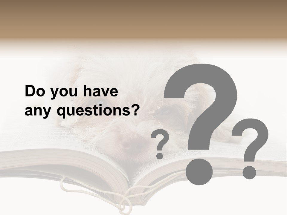 Study Dislike Humor PowerPoint Template