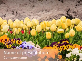 Japanese Park Agriculture Yellow PowerPoint Template