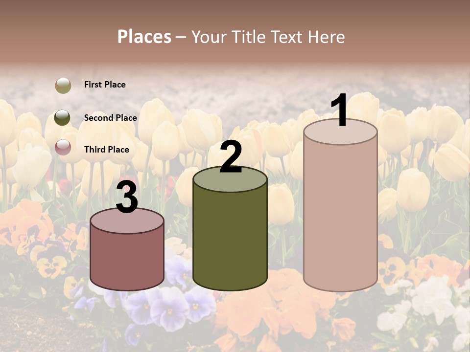 Japanese Park Agriculture Yellow PowerPoint Template