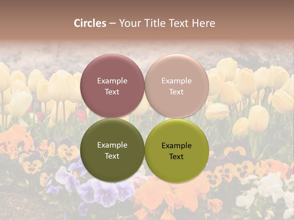 Japanese Park Agriculture Yellow PowerPoint Template