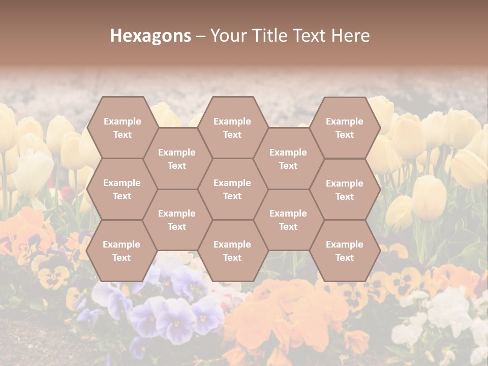 Japanese Park Agriculture Yellow PowerPoint Template