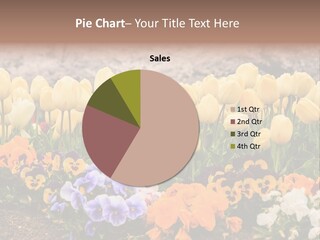 Japanese Park Agriculture Yellow PowerPoint Template