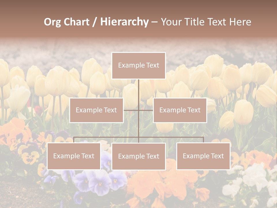 Japanese Park Agriculture Yellow PowerPoint Template