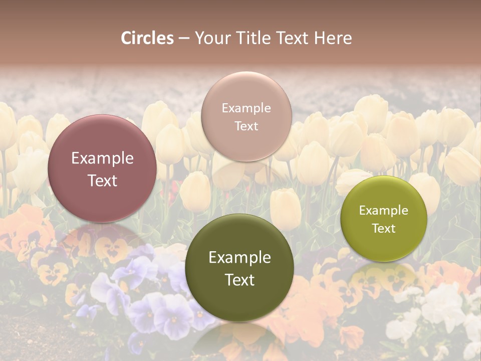 Japanese Park Agriculture Yellow PowerPoint Template