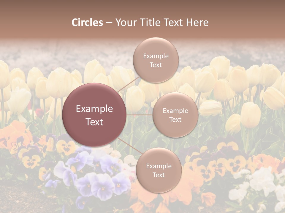 Japanese Park Agriculture Yellow PowerPoint Template