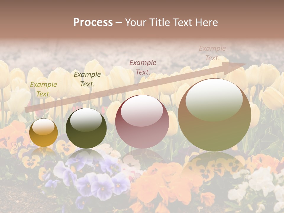 Japanese Park Agriculture Yellow PowerPoint Template