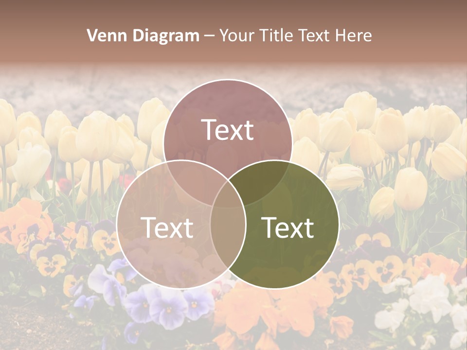 Japanese Park Agriculture Yellow PowerPoint Template