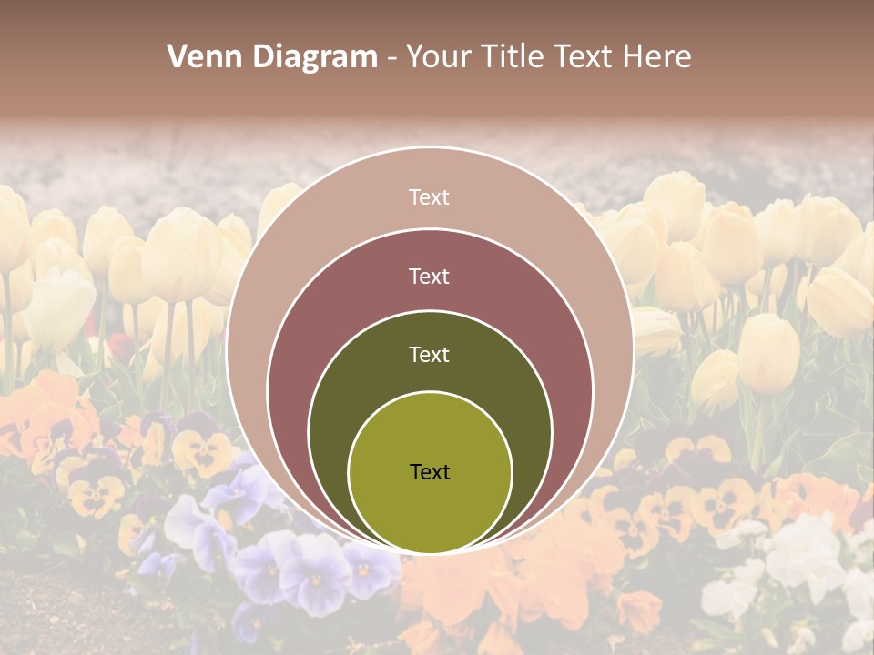 Japanese Park Agriculture Yellow PowerPoint Template