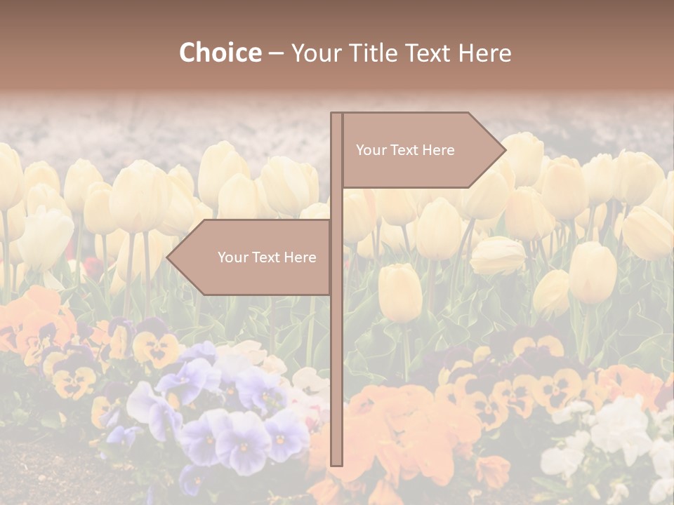 Japanese Park Agriculture Yellow PowerPoint Template