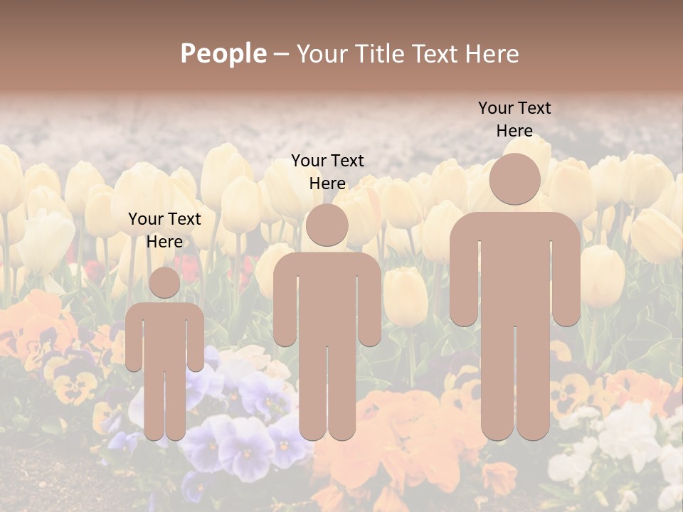 Japanese Park Agriculture Yellow PowerPoint Template