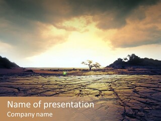 Split Earth Agriculture PowerPoint Template