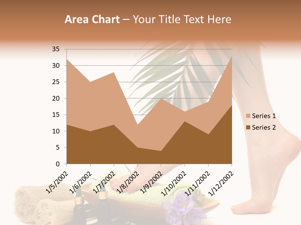 Femininity Flower Leisure PowerPoint Template