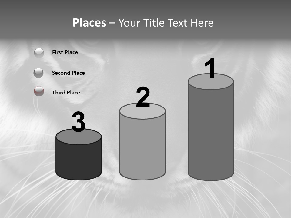 Down Zoo Jungle PowerPoint Template