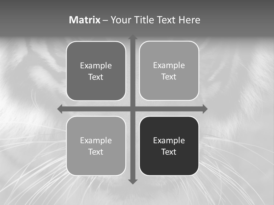 Down Zoo Jungle PowerPoint Template