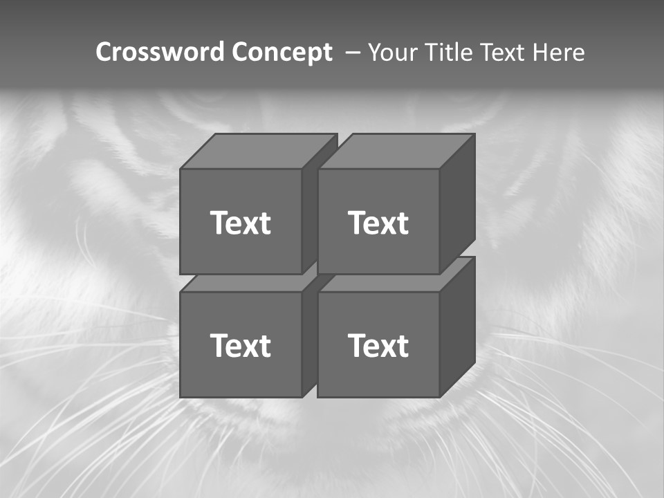 Down Zoo Jungle PowerPoint Template