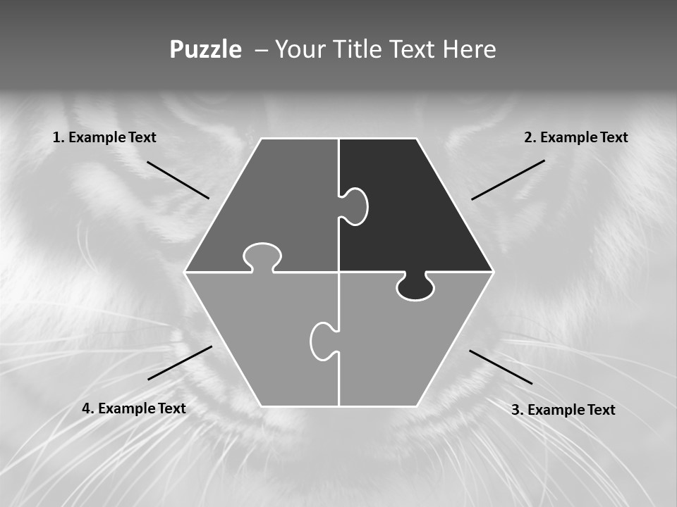 Down Zoo Jungle PowerPoint Template