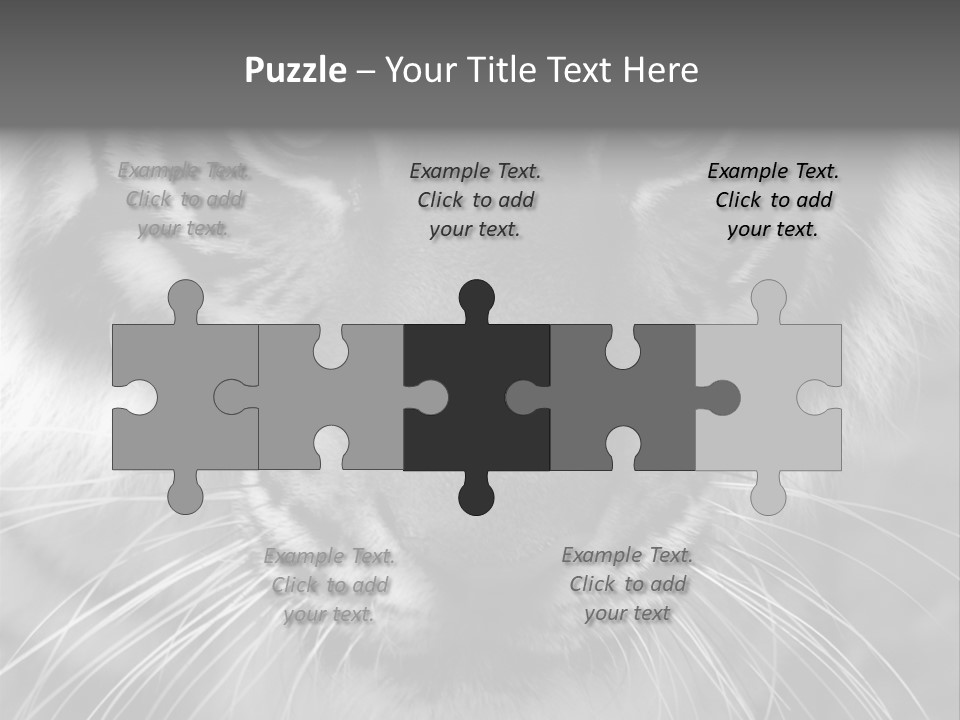 Down Zoo Jungle PowerPoint Template