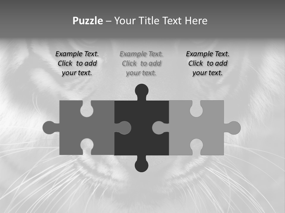 Down Zoo Jungle PowerPoint Template