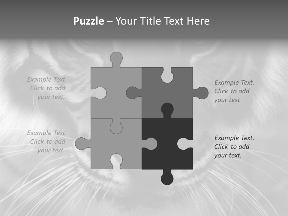 Down Zoo Jungle PowerPoint Template