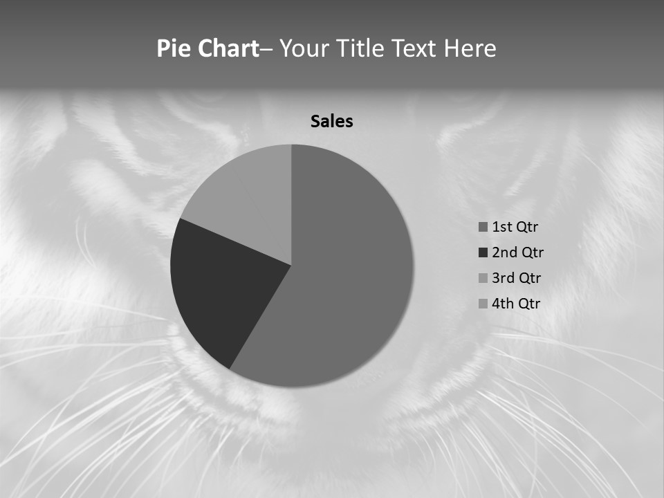 Down Zoo Jungle PowerPoint Template