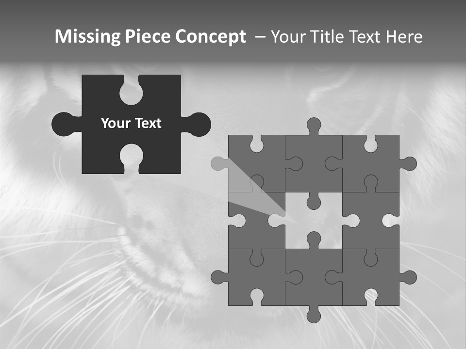 Down Zoo Jungle PowerPoint Template