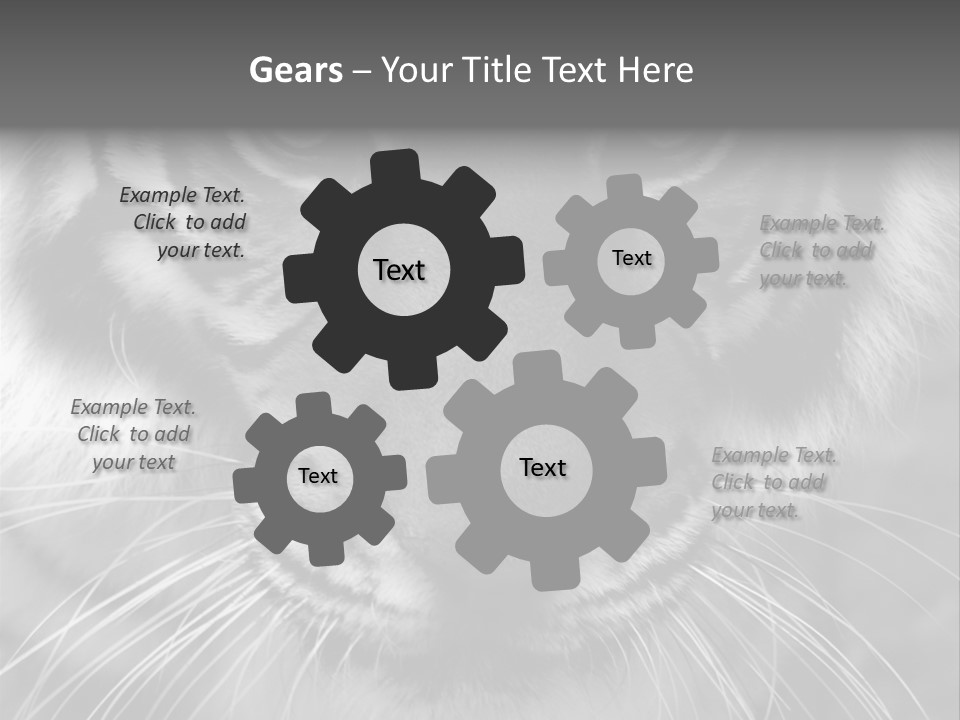 Down Zoo Jungle PowerPoint Template