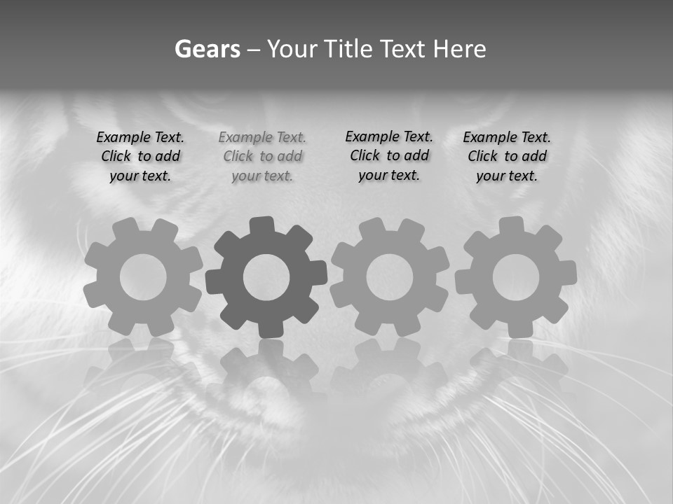 Down Zoo Jungle PowerPoint Template