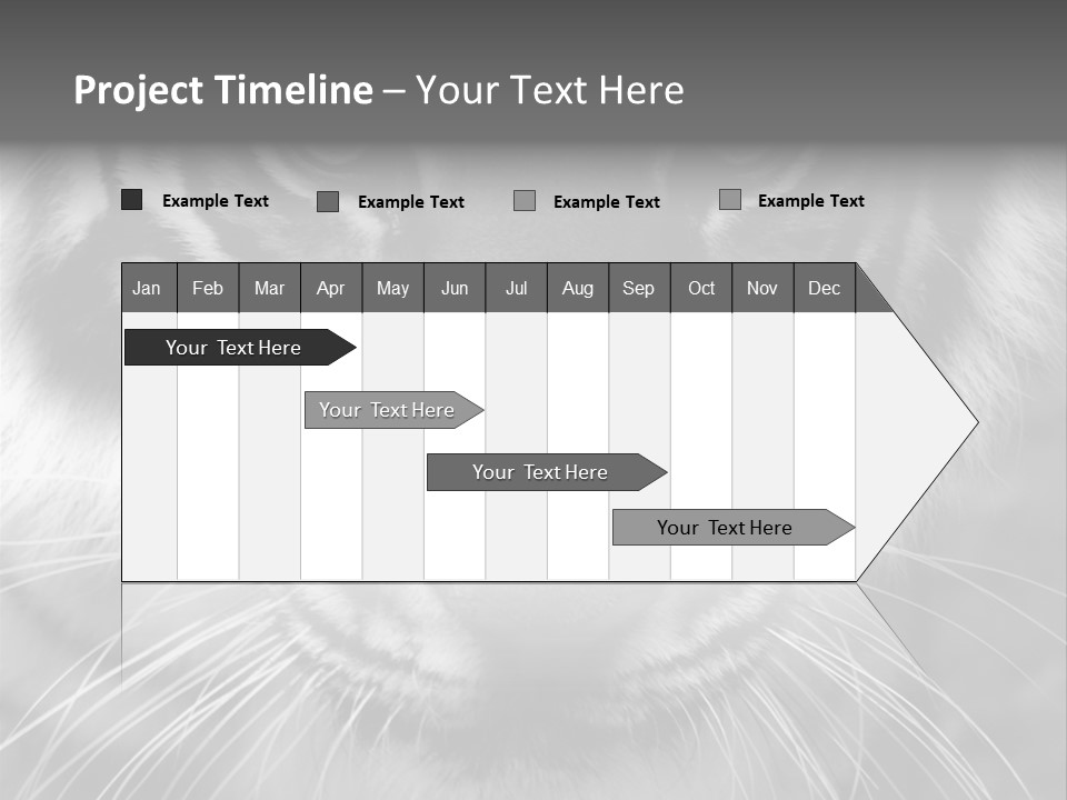 Down Zoo Jungle PowerPoint Template