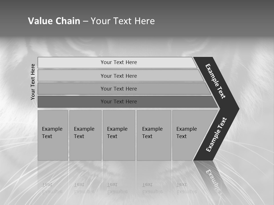 Down Zoo Jungle PowerPoint Template