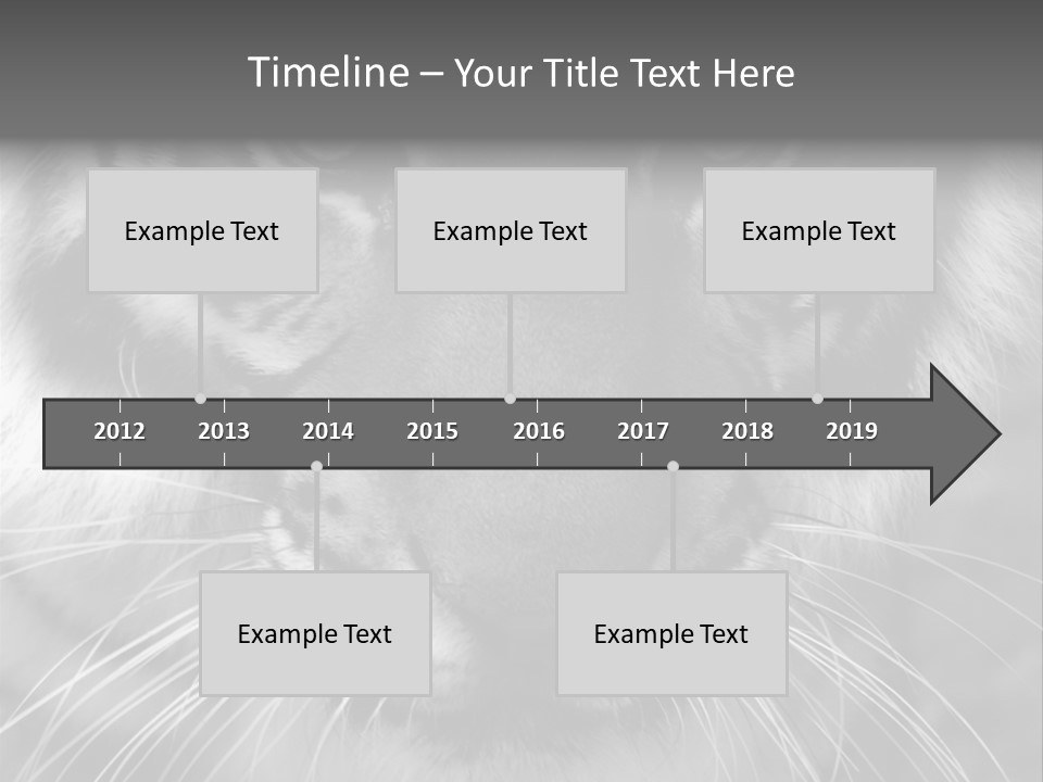 Down Zoo Jungle PowerPoint Template