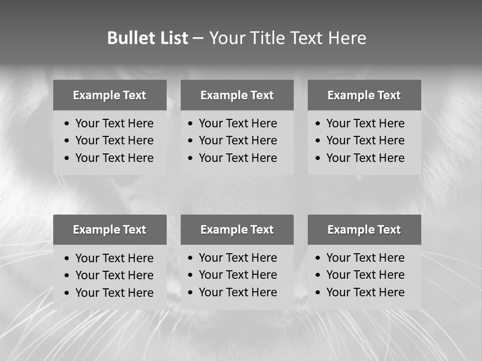 Down Zoo Jungle PowerPoint Template