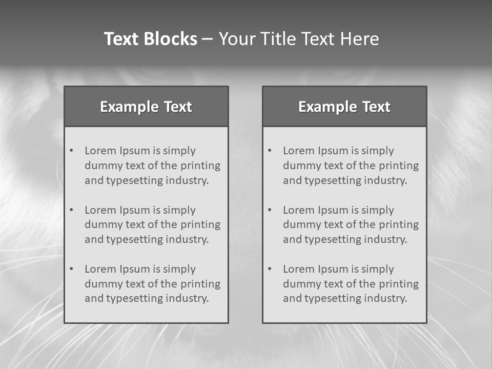 Down Zoo Jungle PowerPoint Template