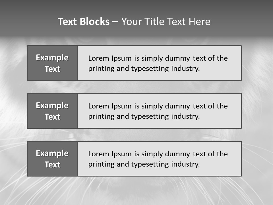 Down Zoo Jungle PowerPoint Template