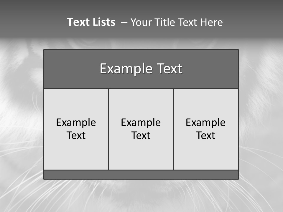 Down Zoo Jungle PowerPoint Template