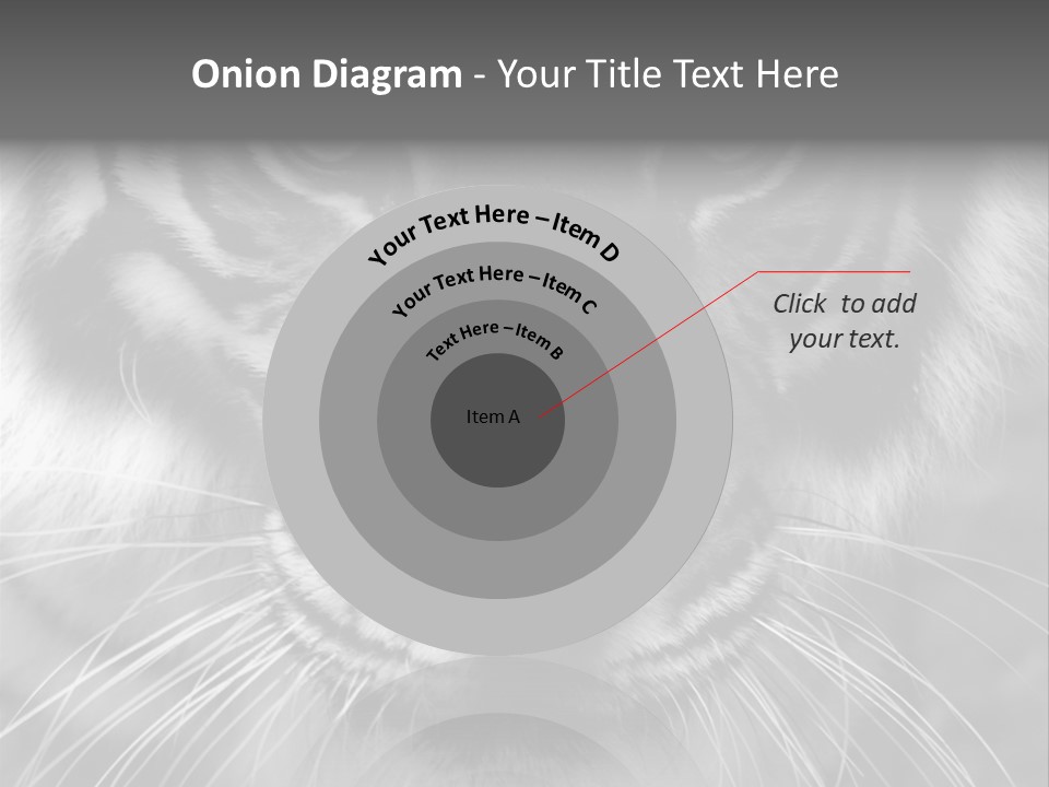 Down Zoo Jungle PowerPoint Template