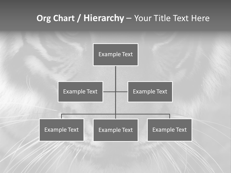 Down Zoo Jungle PowerPoint Template