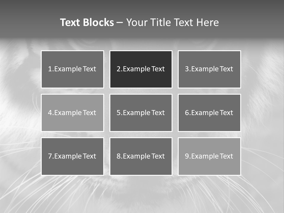 Down Zoo Jungle PowerPoint Template