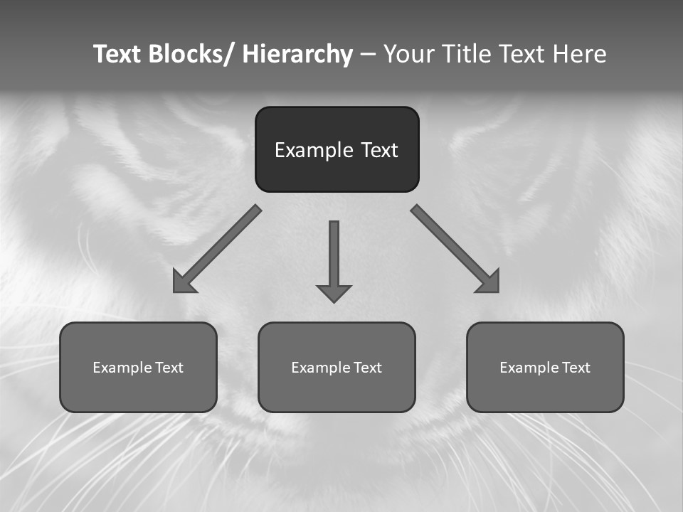 Down Zoo Jungle PowerPoint Template