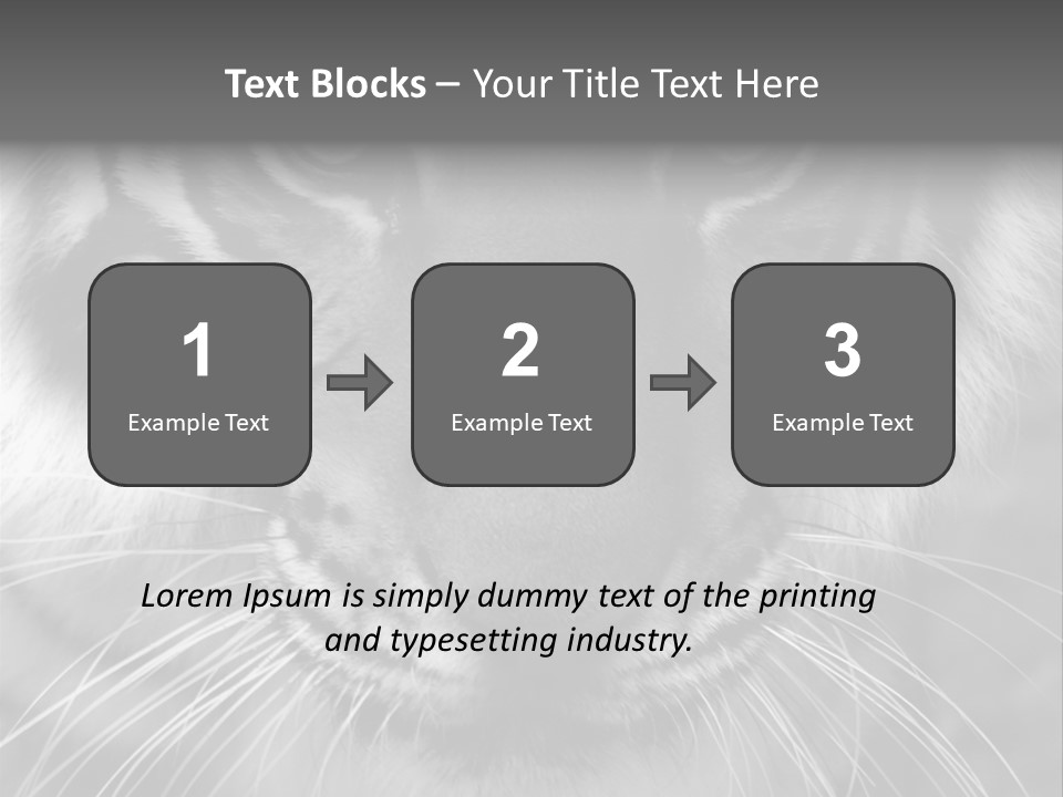 Down Zoo Jungle PowerPoint Template