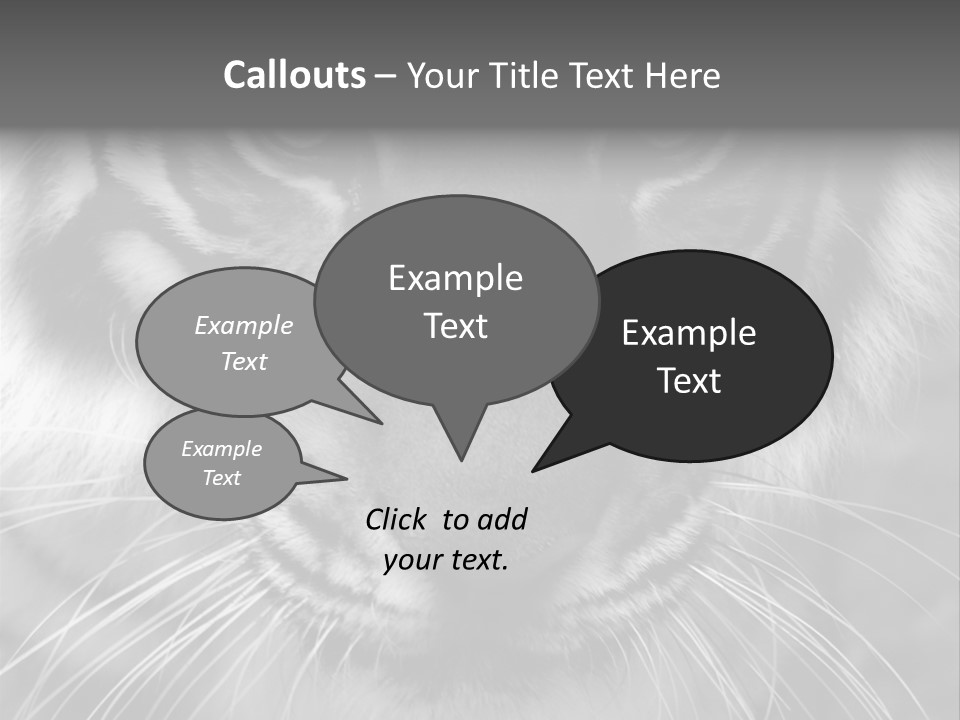 Down Zoo Jungle PowerPoint Template