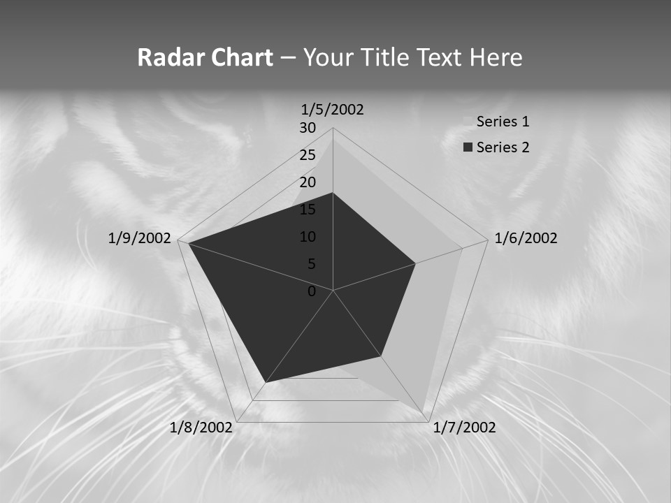 Down Zoo Jungle PowerPoint Template