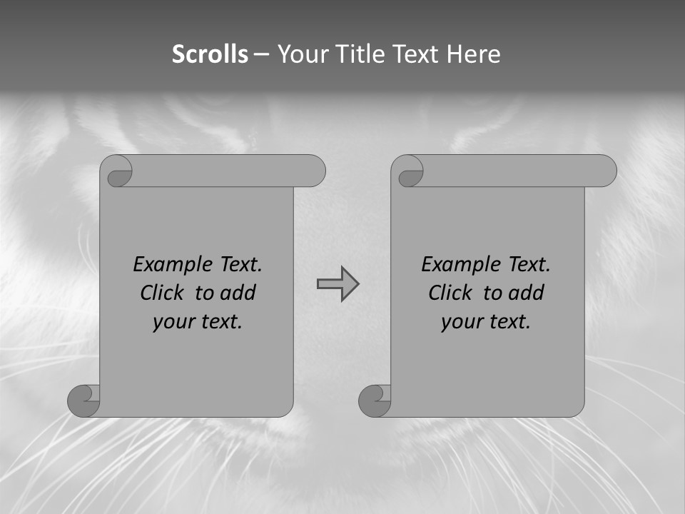 Down Zoo Jungle PowerPoint Template