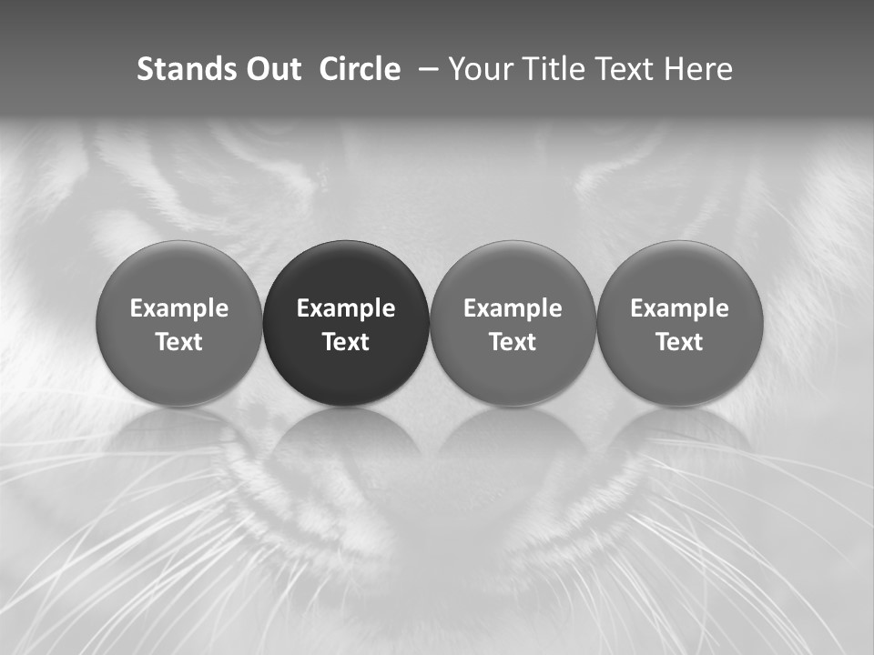 Down Zoo Jungle PowerPoint Template