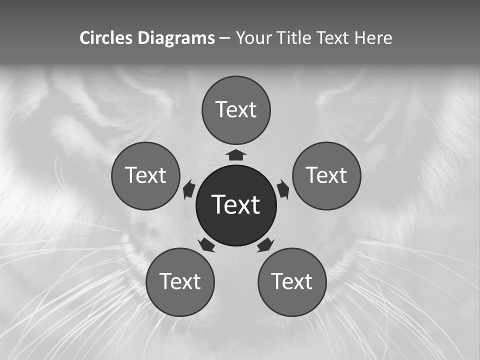 Down Zoo Jungle PowerPoint Template