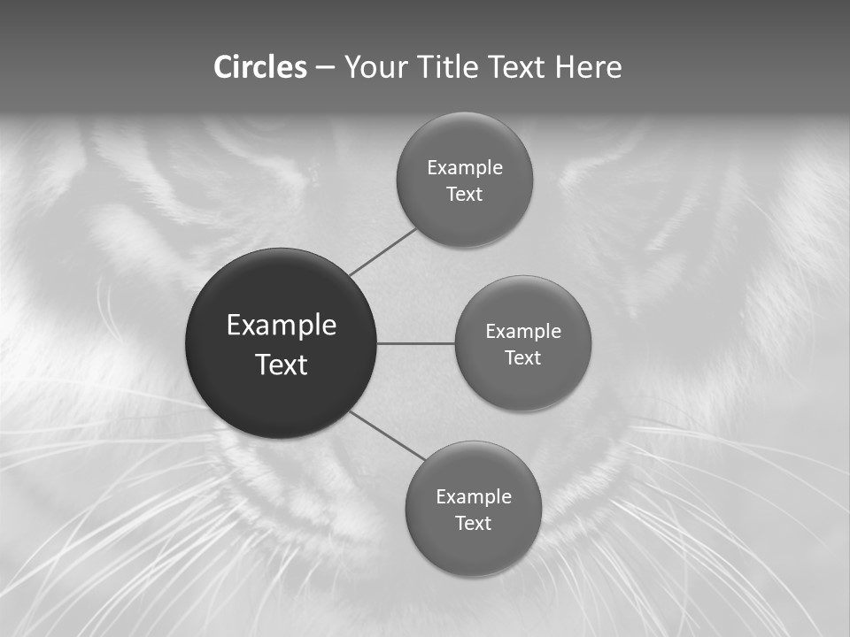 Down Zoo Jungle PowerPoint Template