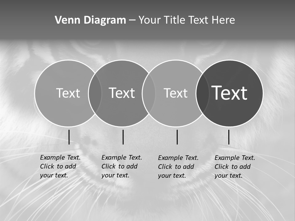 Down Zoo Jungle PowerPoint Template
