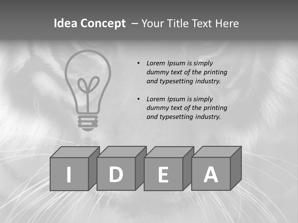 Down Zoo Jungle PowerPoint Template