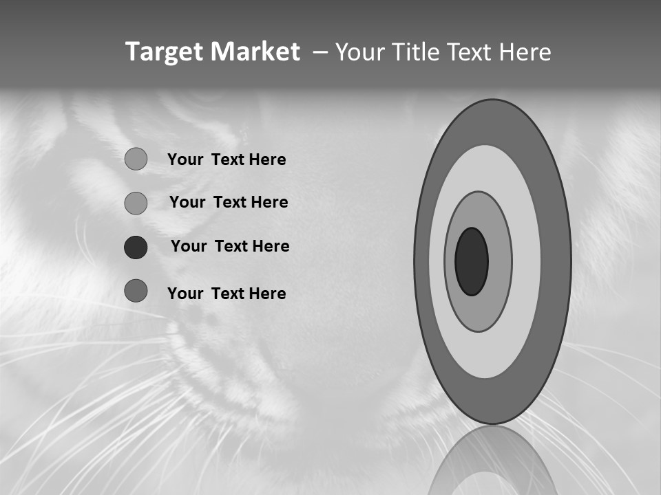 Down Zoo Jungle PowerPoint Template