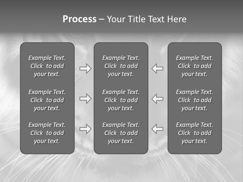 Down Zoo Jungle PowerPoint Template