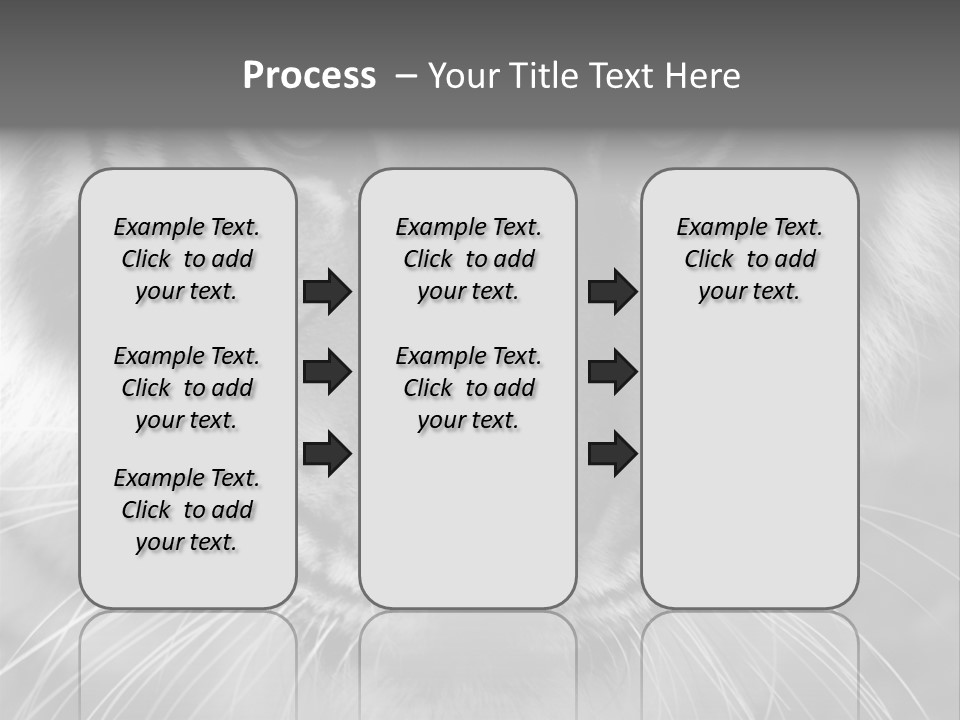 Down Zoo Jungle PowerPoint Template